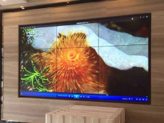 电视遥控打不开电视怎么办？