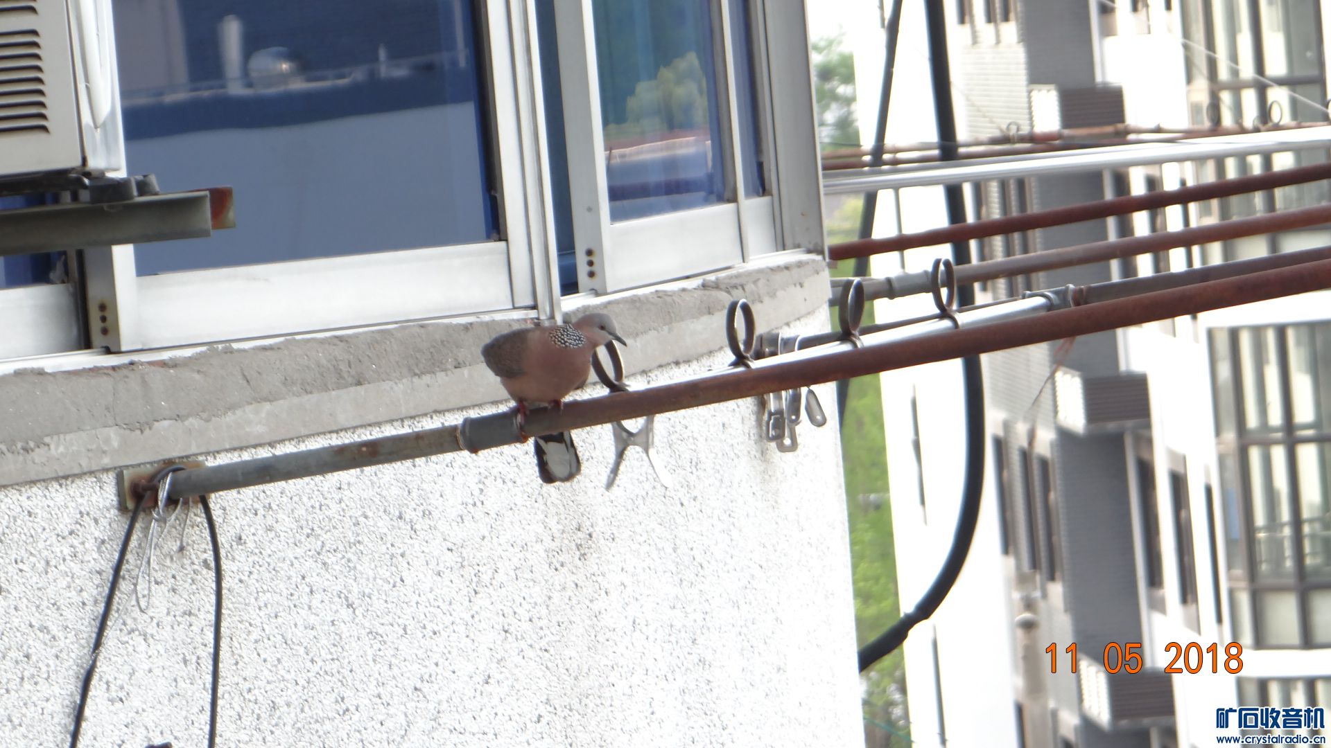 空调外机冬天会滴水